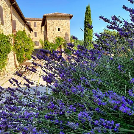 Castello Di Viano Villa Exteriör bild