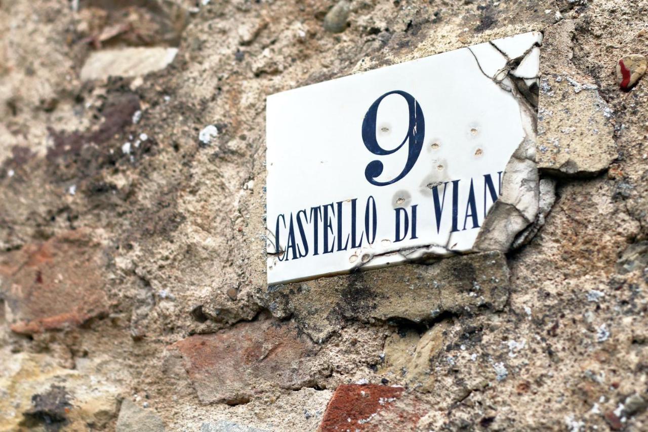 Castello Di Viano Villa Exteriör bild