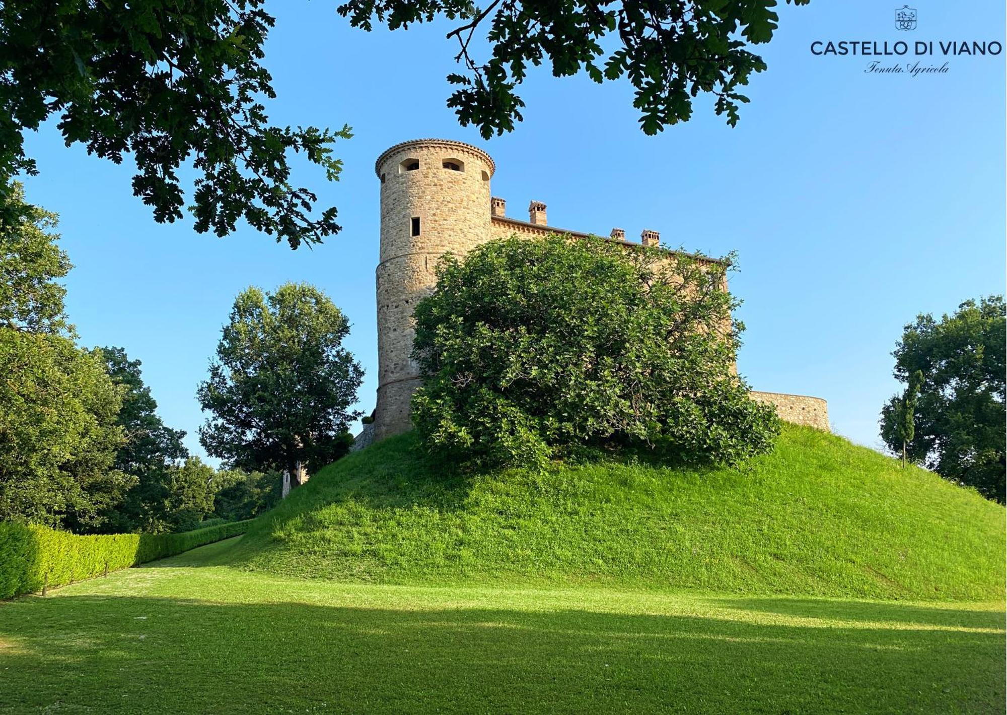 Castello Di Viano Villa Exteriör bild