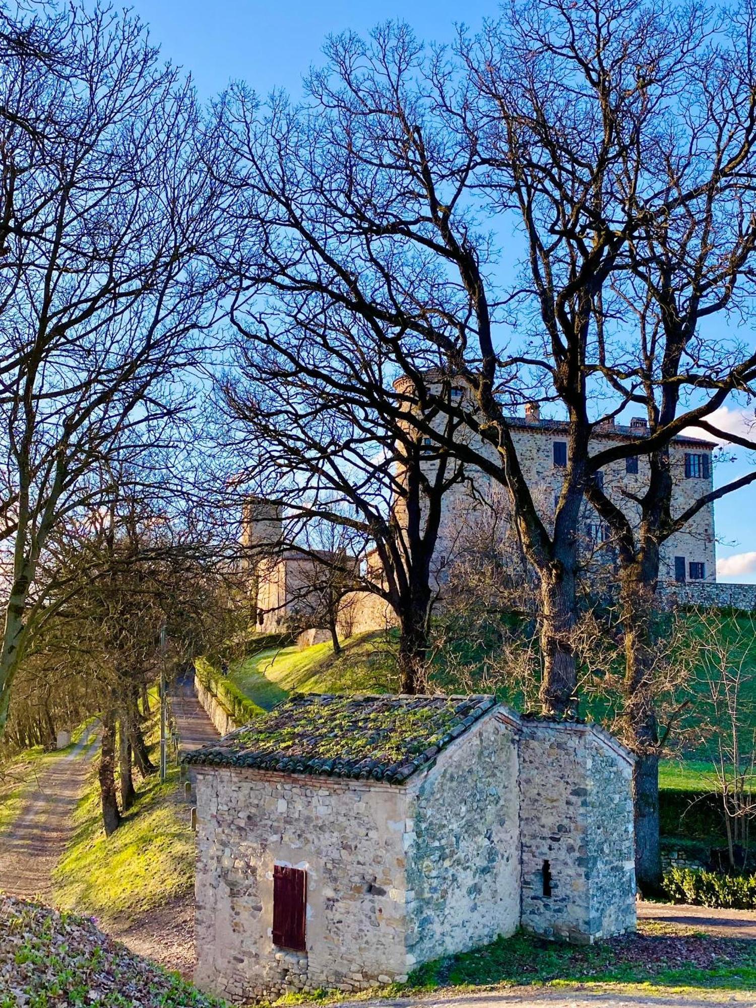 Castello Di Viano Villa Exteriör bild