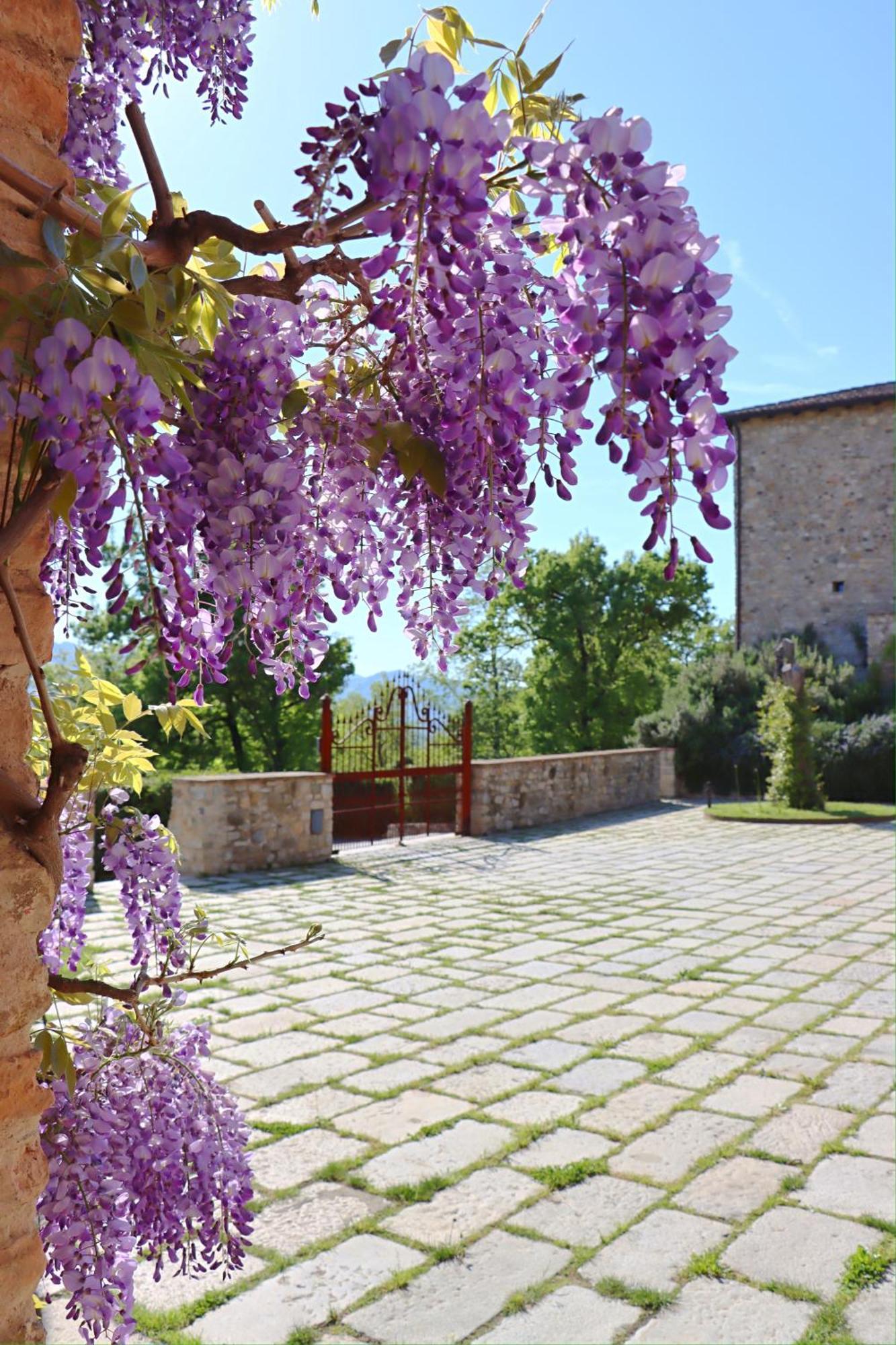 Castello Di Viano Villa Exteriör bild