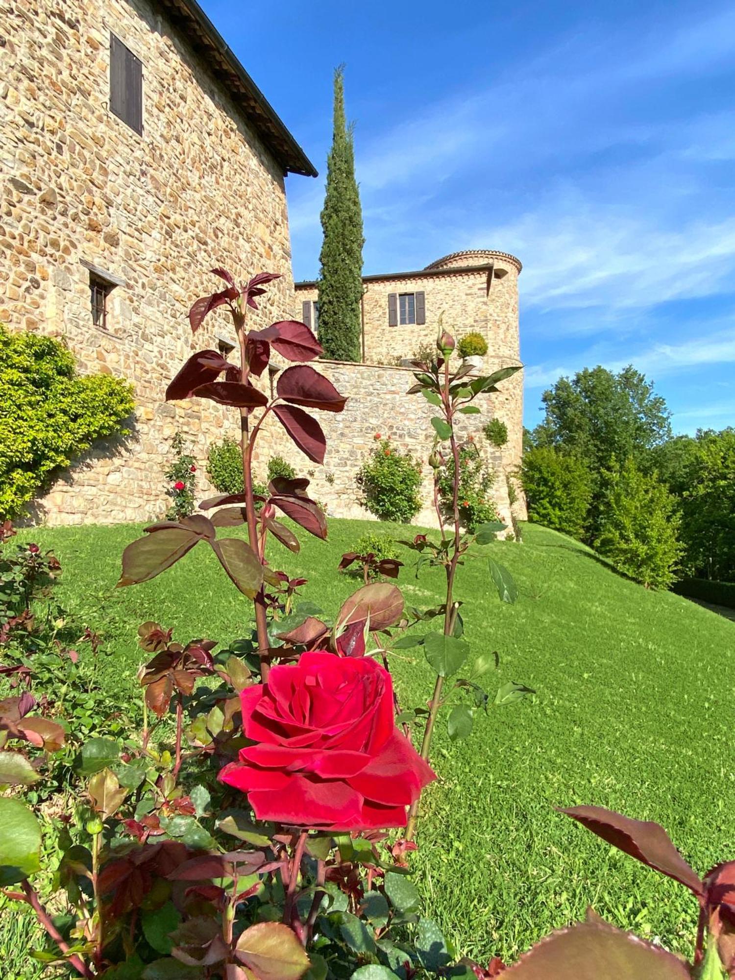 Castello Di Viano Villa Exteriör bild