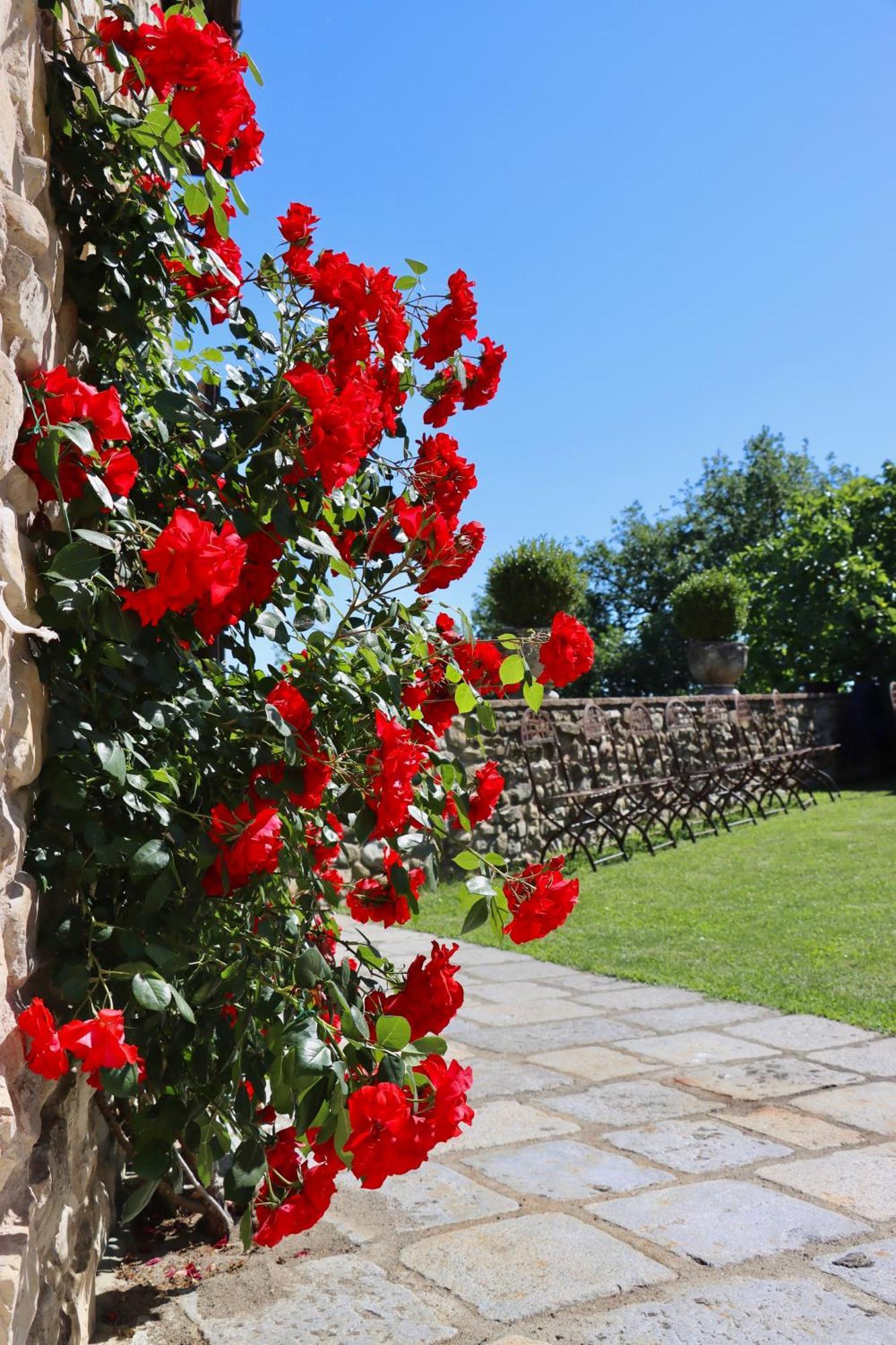 Castello Di Viano Villa Exteriör bild