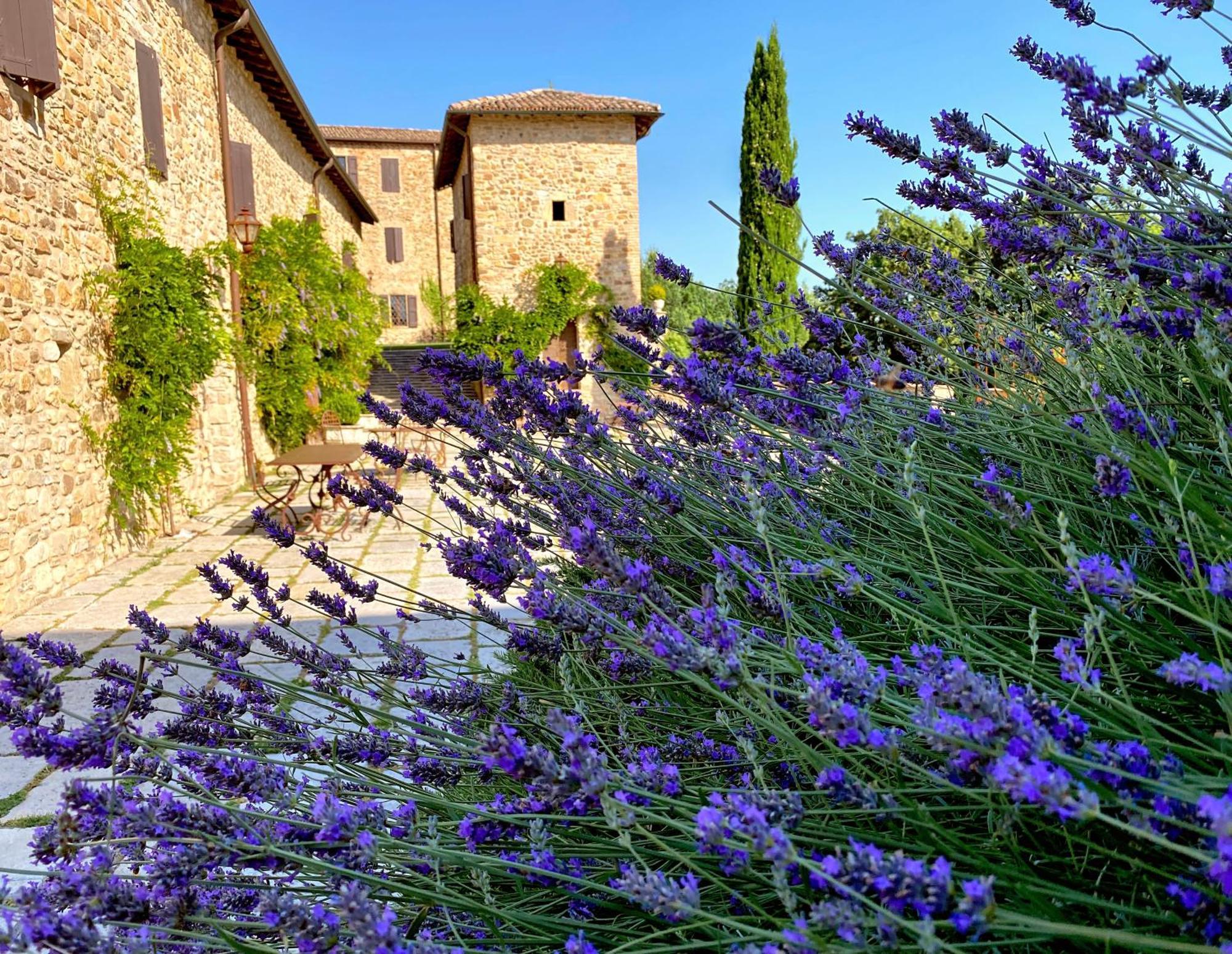 Castello Di Viano Villa Exteriör bild